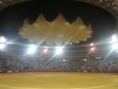/album/fotogaleria-concurso-toros-de-fuego/img-0807-jpg/