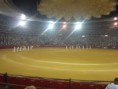 /album/fotogaleria-concurso-toros-de-fuego/img-0813-jpg/