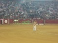/album/fotogaleria-concurso-toros-de-fuego/img-0815-jpg/