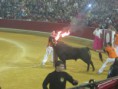 /album/fotogaleria-concurso-toros-de-fuego/img-0825-jpg1/