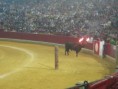 /album/fotogaleria-concurso-toros-de-fuego/img-0827-jpg/