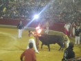 /album/fotogaleria-concurso-toros-de-fuego/img-0845-jpg/